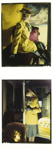 NP_NP09F2_1946_002: High Tide of Yellow