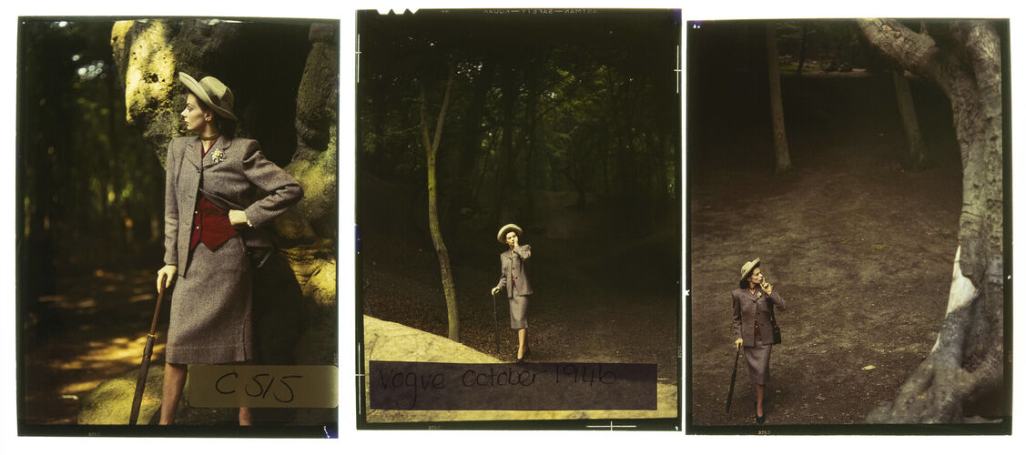 NP_NP09F2_1946_008A: Tweed in the Woods