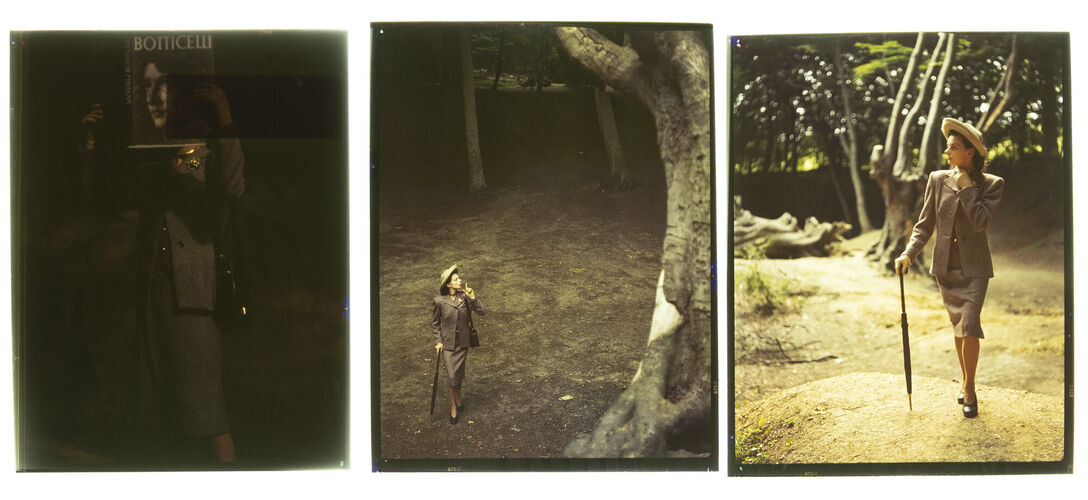 NP_NP09F2_1946_008B: Tweed in the Woods