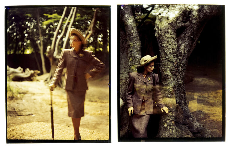 NP_NP09F2_1946_008D: Tweed in the Woods