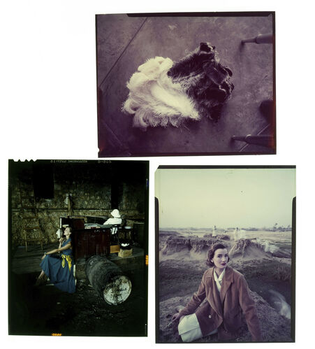 NP_NP09F2_1951_002: 1950s Vogue + 10 additonal 4x5s