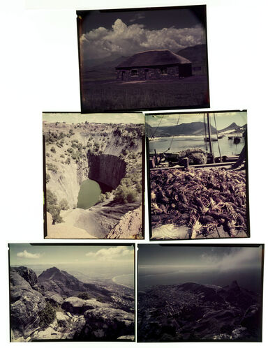 NP_NP09F2_1951_010: 1950s Vogue