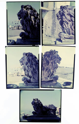 NP_NP09F2_1951_013A: 1950s Vogue