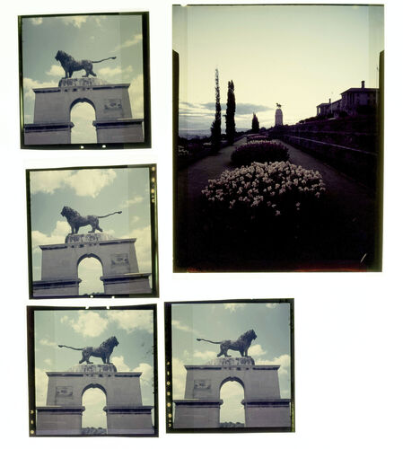 NP_NP09F2_1951_013B: 1950s Vogue