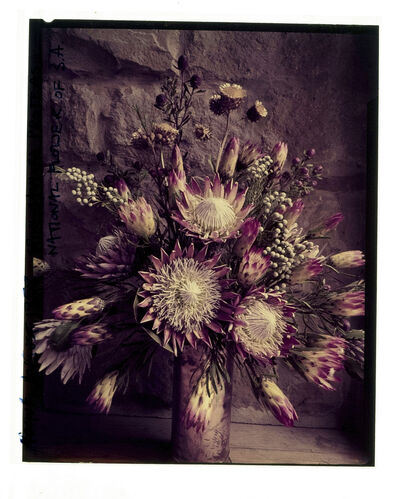 NP_NP09F2_1958_005: 1950s Vogue