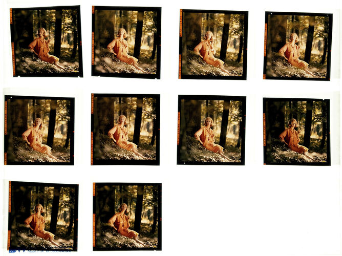 NP_NP09F2_1959_005: 1950s Vogue