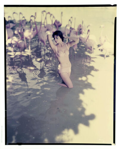 NP_NP09F2_1959_010A: New Holiday Looks