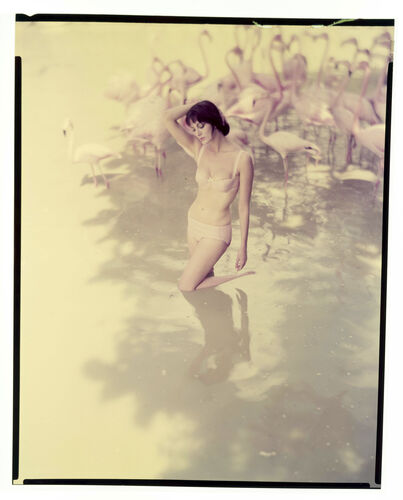 NP_NP09F2_1959_010B: New Holiday Looks