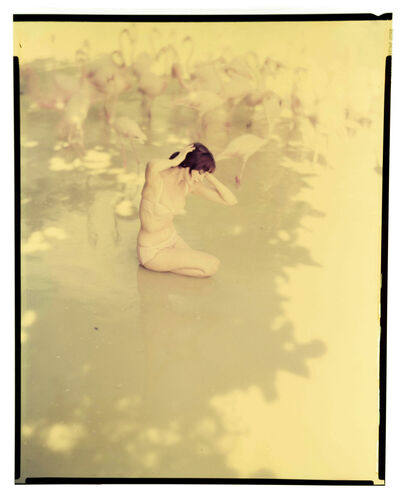 NP_NP09F2_1959_010C: New Holiday Looks