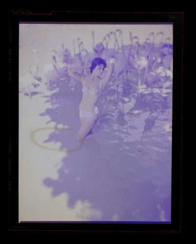 NP_NP09F2_1959_010D: New Holiday Looks