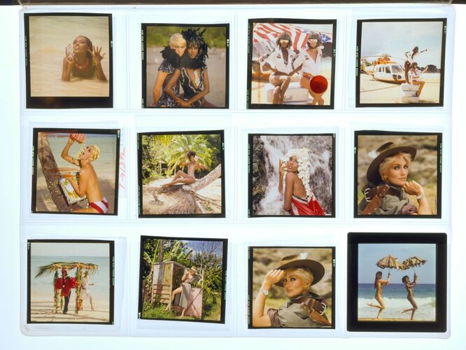 NP_NP10_14_b: Robinson Crusoe Shoot