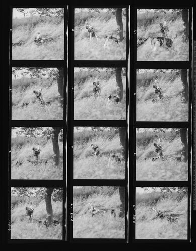 NP_NP11Q108_001: Queen Magazine