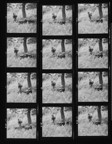 NP_NP11Q108_002: Queen Magazine