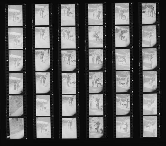 NP_NP11Q108_004: Queen Magazine