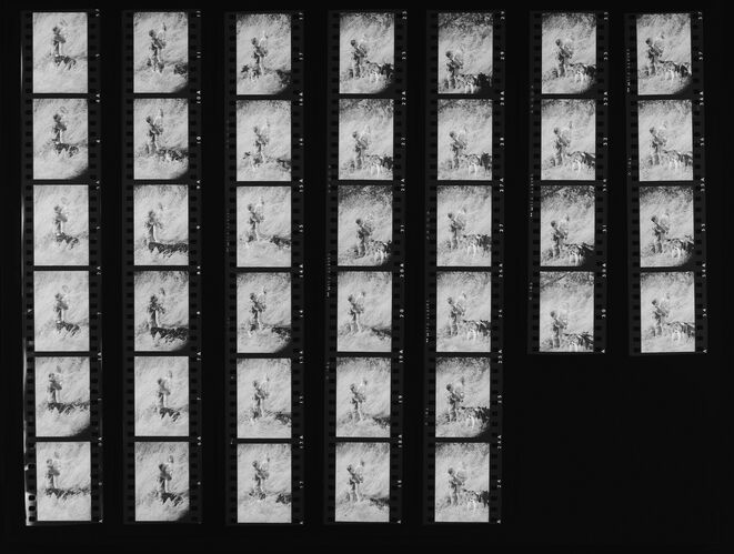 NP_NP11Q108_008: Queen Magazine