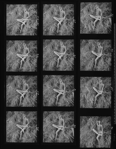 NP_NP11Q111_001: Nena von Schlebrügge