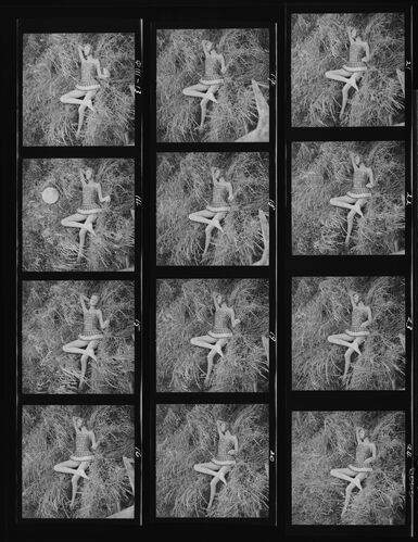 NP_NP11Q111_003: Nena von Schlebrügge