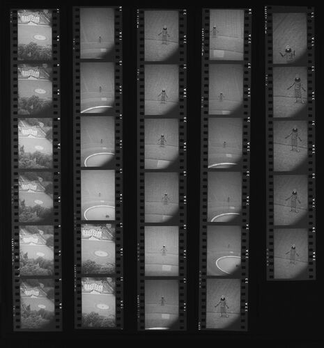 NP_NP11Q116_007: Katherine Pastrie