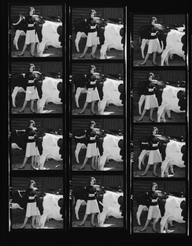 NP_NP11Q170_026: Queen Magazine