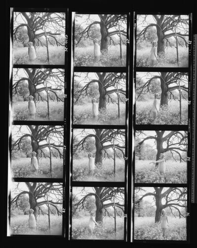 NP_NP12Q204_003: The Sleep Walkers