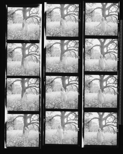 NP_NP12Q204_004: The Sleep Walkers