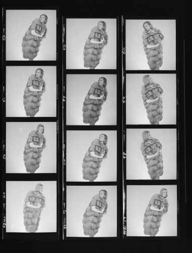 NP_NP12Q214_021: How Fur Can You Go