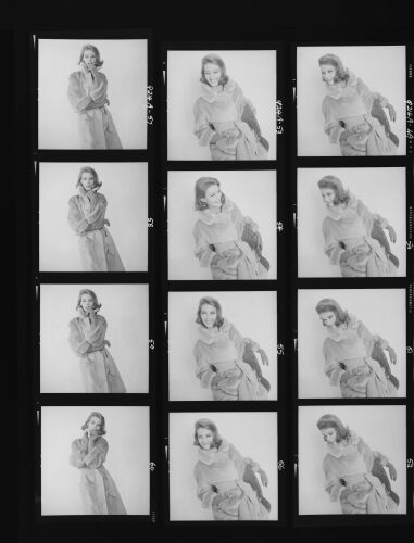 NP_NP12Q214_041: How Fur Can You Go