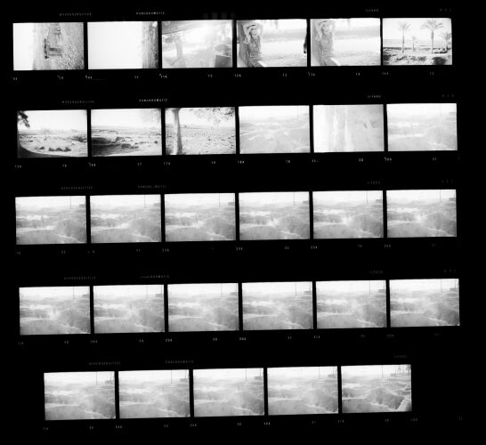 NP_NP12Q225_038: 'The wilder shores of Sheik'