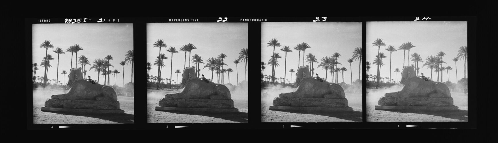 NP_NP12Q225_039: 'The wilder shores of Sheik'