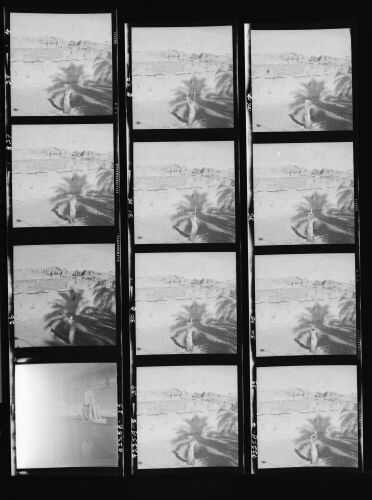 NP_NP12Q225_041: 'The wilder shores of Sheik'