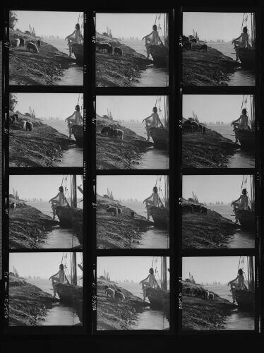 NP_NP12Q225_055: 'The wilder shores of Sheik'