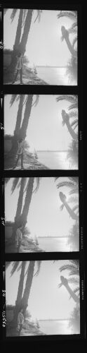 NP_NP12Q225_058: 'The wilder shores of Sheik'