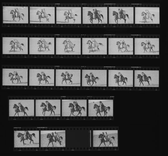 NP_NP12Q225_066: 'The wilder shores of Sheik'