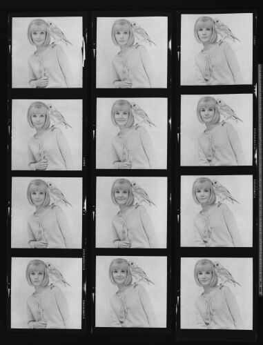 NP_NP13Q243_017: Queen Magazine