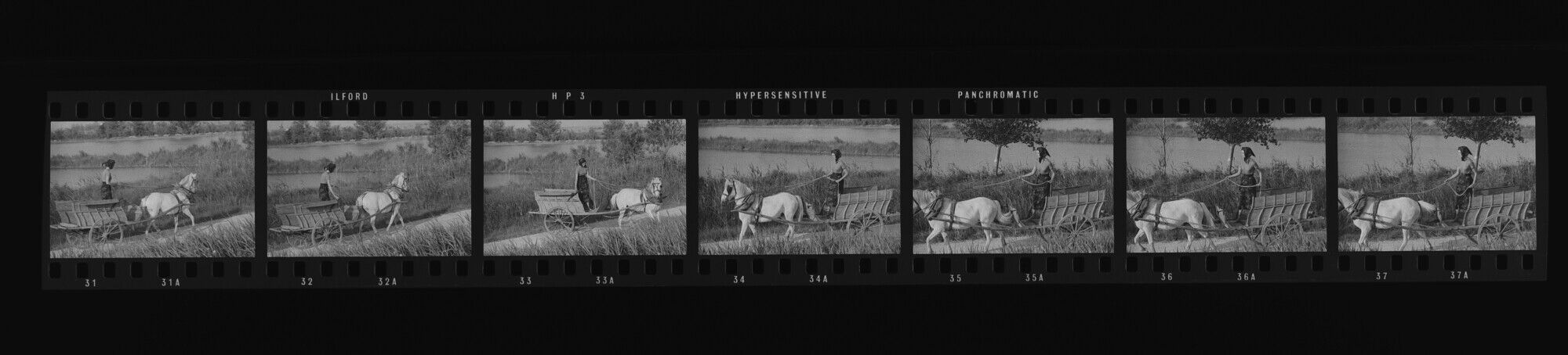 NP_NP13Q274_008: 'Great Clothes Round Up in the Camargue'