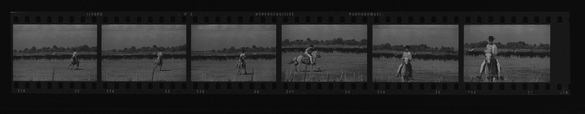 NP_NP13Q274_042: 'Great Clothes Round Up in the Camargue'