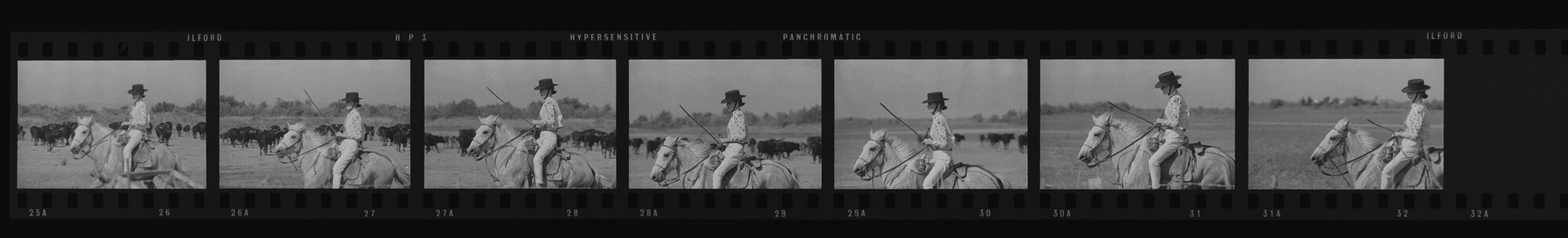 NP_NP13Q274_046: 'Great Clothes Round Up in the Camargue'