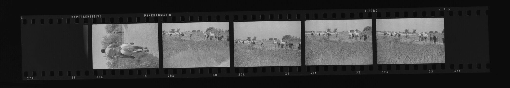 NP_NP13Q274_092: 'Great Clothes Round Up in the Camargue'