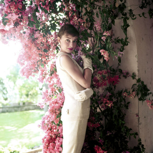 NP_PE_AH030: Audrey Hepburn