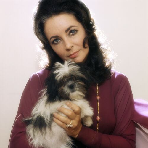 NP_PE_ET014: Elizabeth Taylor