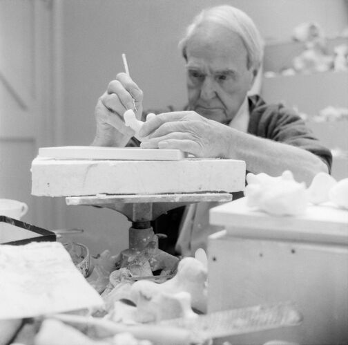 NP_PE_HM003: Henry Moore