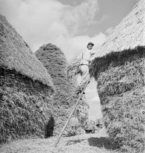 NP_PHJ003: Norman Parkinson