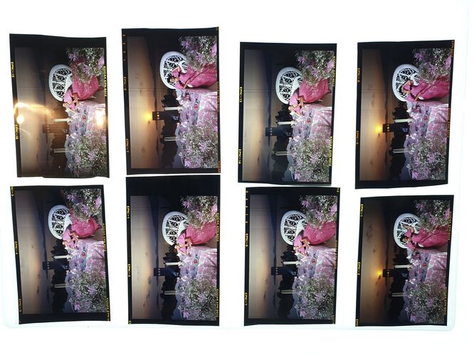 NP_PortaNova_temp010: Portanova