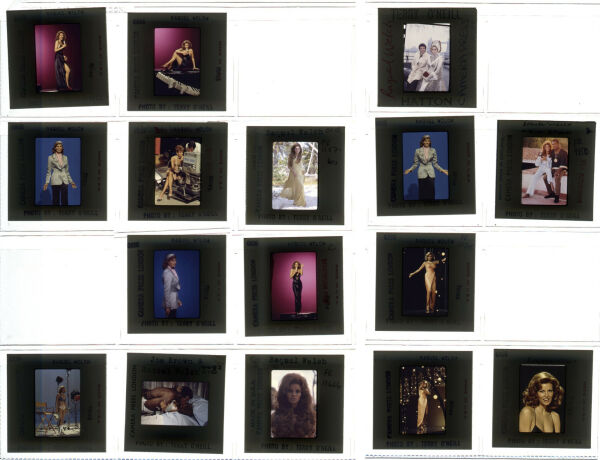 raquel-welch-contact-sheet-raquel-contact-125-iconic-licensing