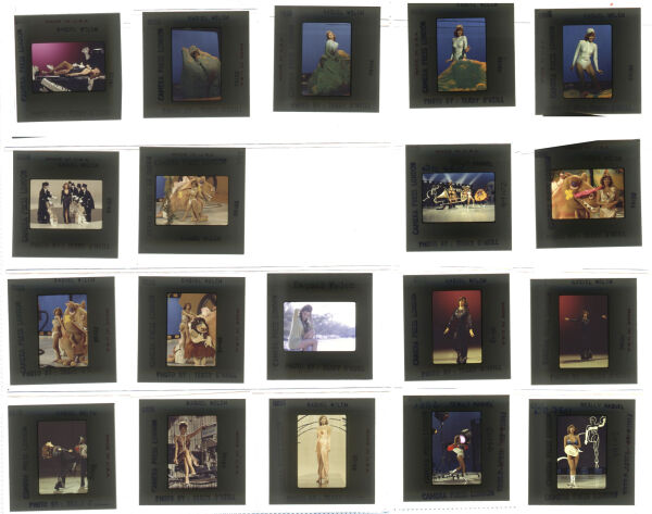 Raquel Welch Contact Sheet Raquel contact 134 Iconic Licensing