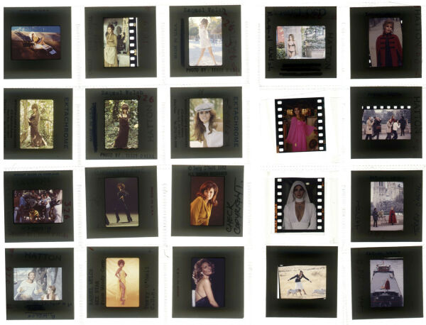 Raquel Welch : Contact sheet: Raquel_contact_138 | Iconic Licensing