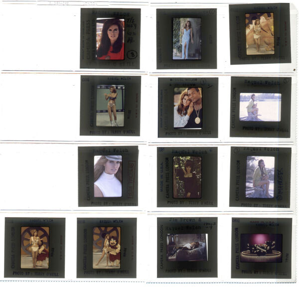 Raquel Welch Contact Sheet Raquel contact 149 Iconic Licensing