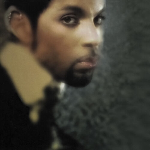 SP_PR230: Prince