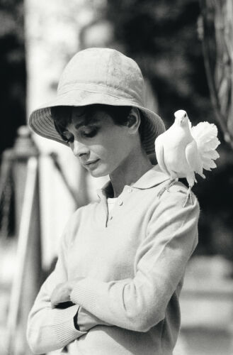 TON_AH008: Hepburn With Dove