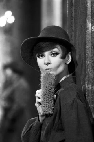 TON_AH069: Audrey Hepburn
